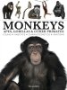 Monkeys: Apes, Gorillas & Other Primates